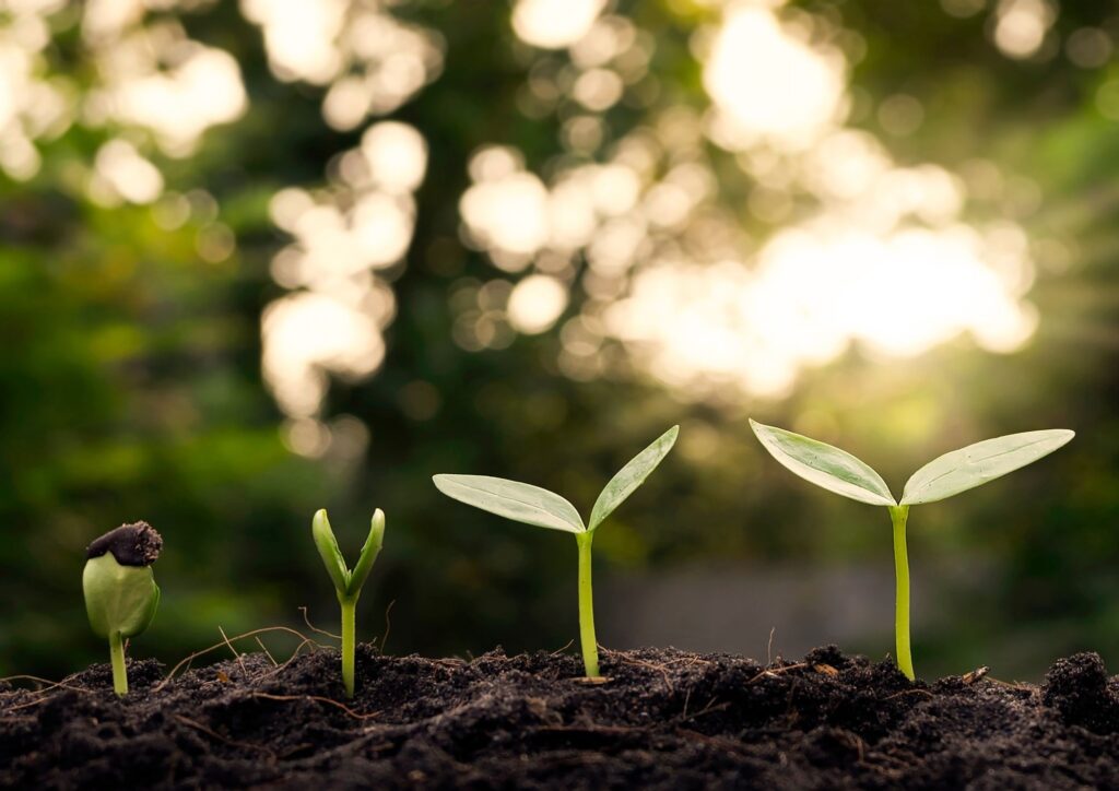 Nasze cele - rozwój